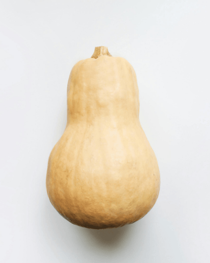 Butternut Squash - LandscapeDirect