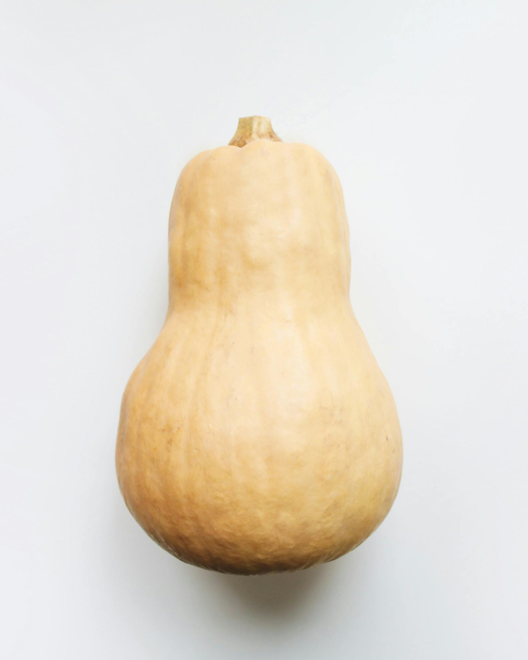 Courge musquée