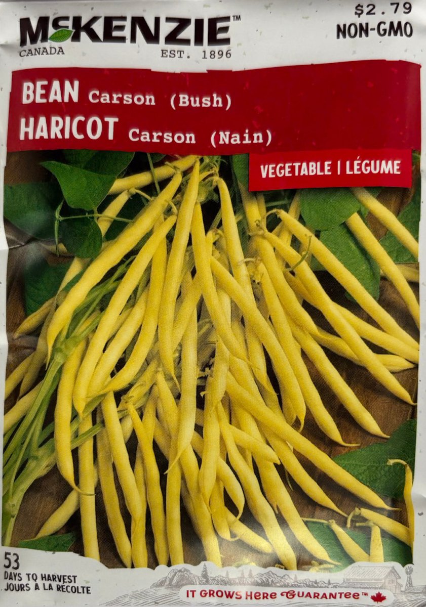 Carson Bush Bean - LandscapeDirect