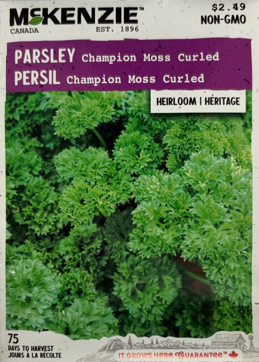 Champion Moss Curled Parsley - LandscapeDirect
