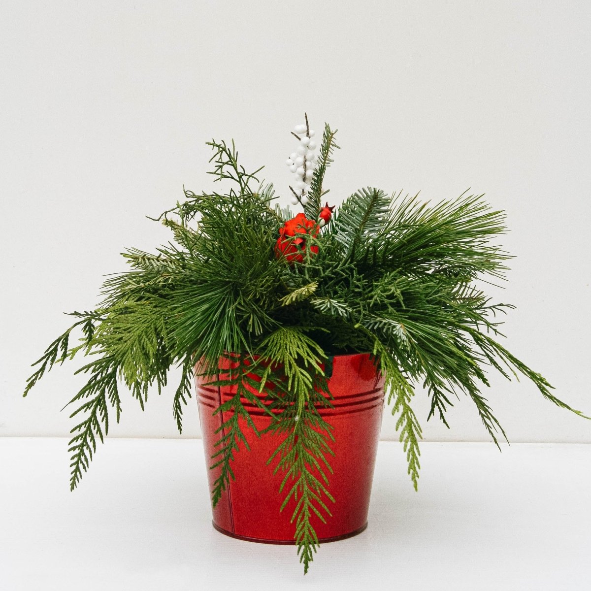 Christmas Bird Planter - 6 Inch Tin Pot - LandscapeDirect