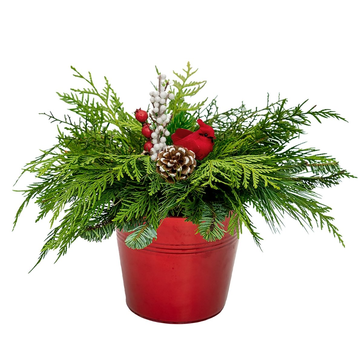 Christmas Bird Planter - 6 Inch Tin Pot - LandscapeDirect