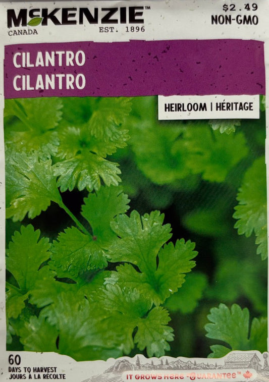 Cilantro - LandscapeDirect