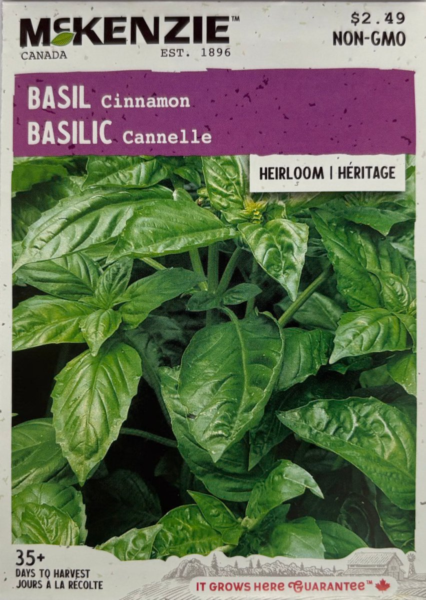 Cinnamon Basil - LandscapeDirect