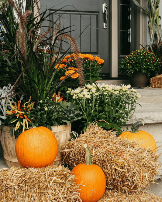 Classic Fall Porch Kit - LandscapeDirect