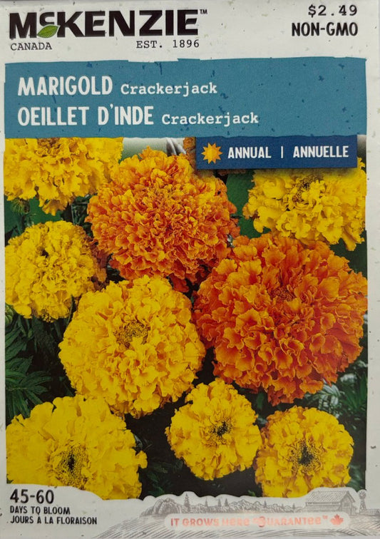 Crackerjack Marigold - LandscapeDirect