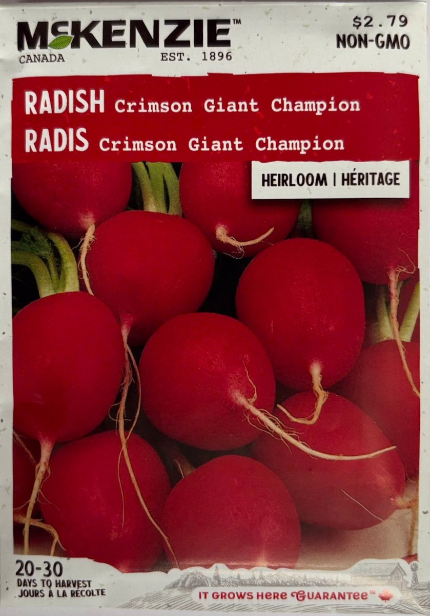 Crimson Giant Champion Radish - LandscapeDirect