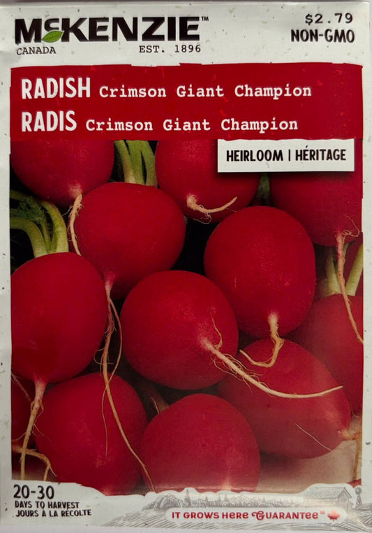 Crimson Giant Champion Radish - LandscapeDirect