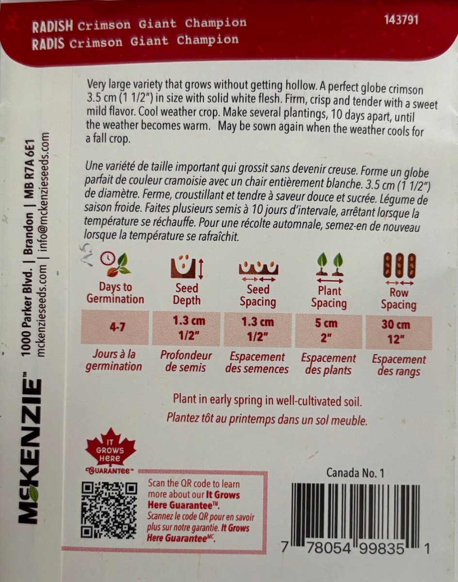 Crimson Giant Champion Radish - LandscapeDirect