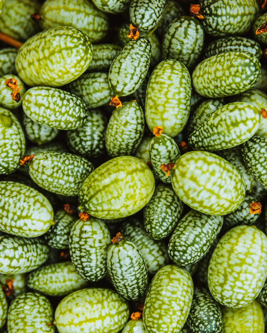 Cucamelon