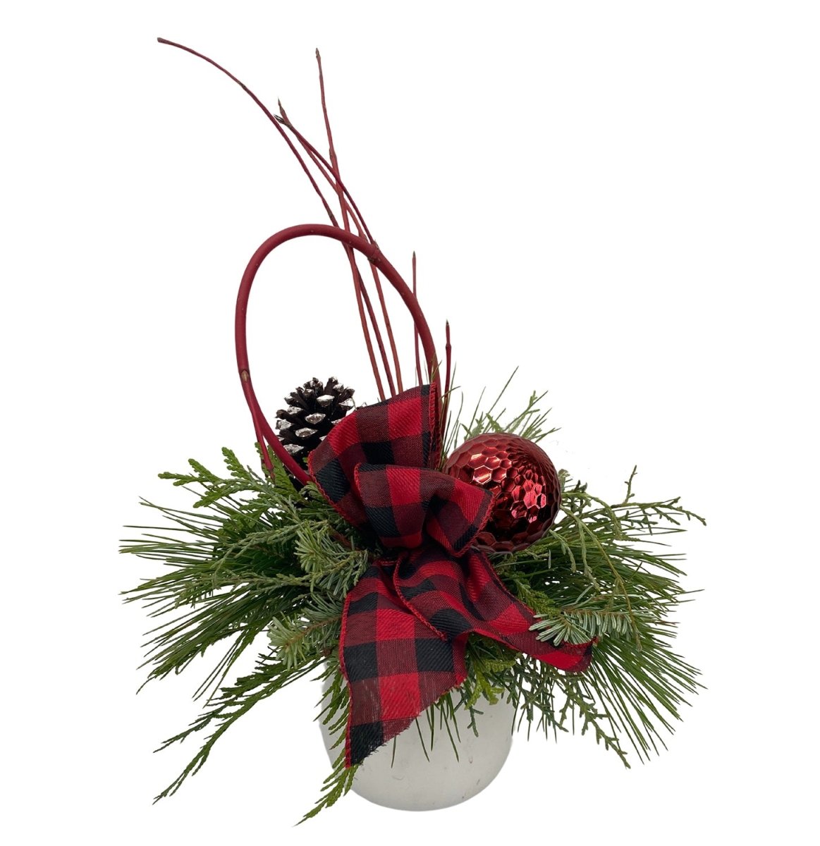 Dogwood Christmas Arrangement - LandscapeDirect