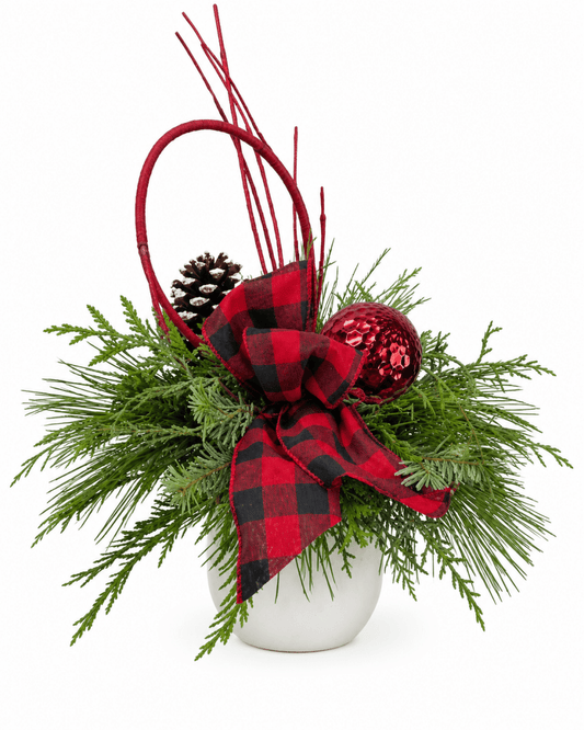 Dogwood Christmas Arrangement - LandscapeDirect