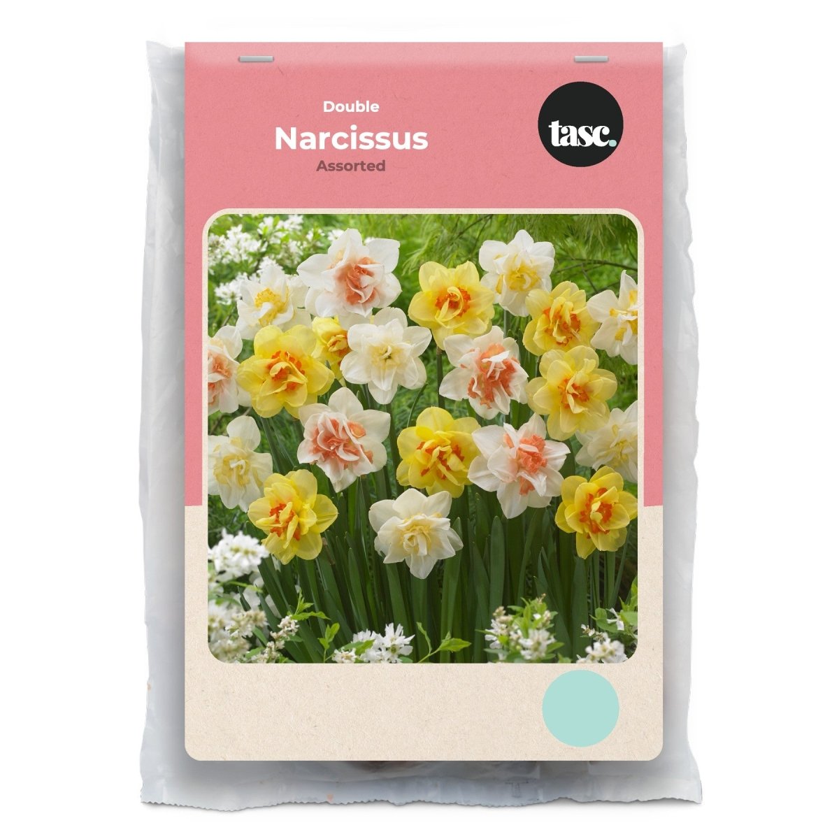 Double Assorted Daffodil - LandscapeDirect