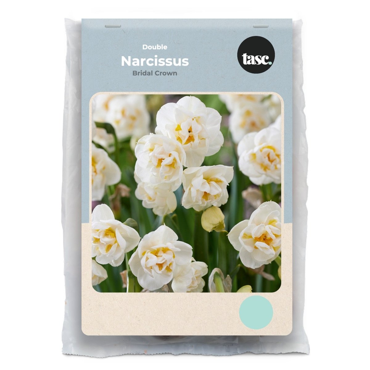 Double Bridal Crown Daffodil - LandscapeDirect