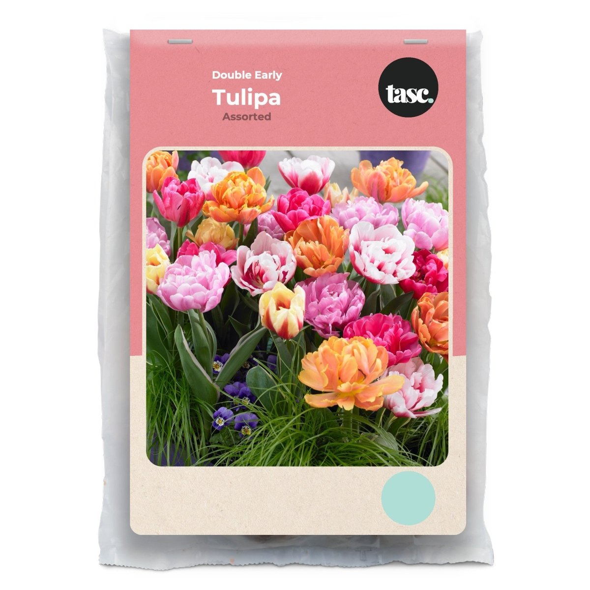Double Early Assorted Tulip - LandscapeDirect