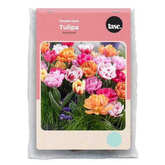 Double Early Assorted Tulip - LandscapeDirect