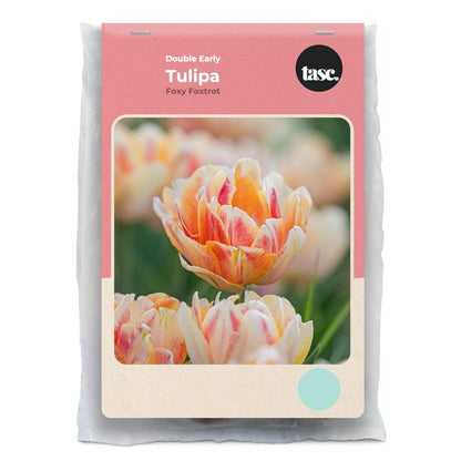 Double Early Foxy Foxtrot Tulip - LandscapeDirect