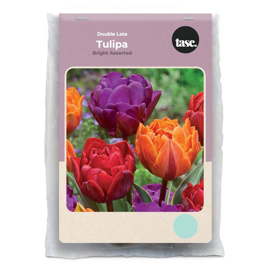 Double Late Bright Assorted Tulip - LandscapeDirect