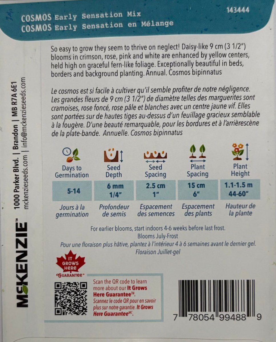 Early Sensation Mix Cosmos - LandscapeDirect