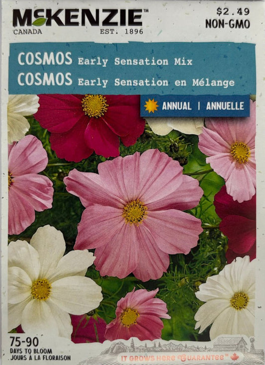 Early Sensation Mix Cosmos - LandscapeDirect