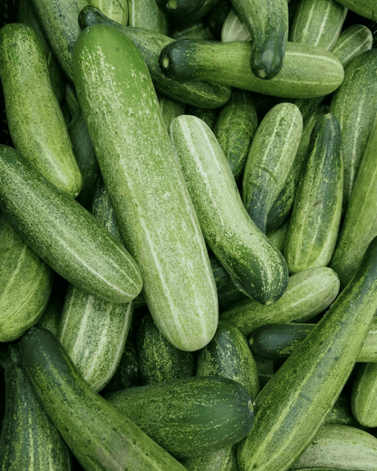 English Cucumber - LandscapeDirect