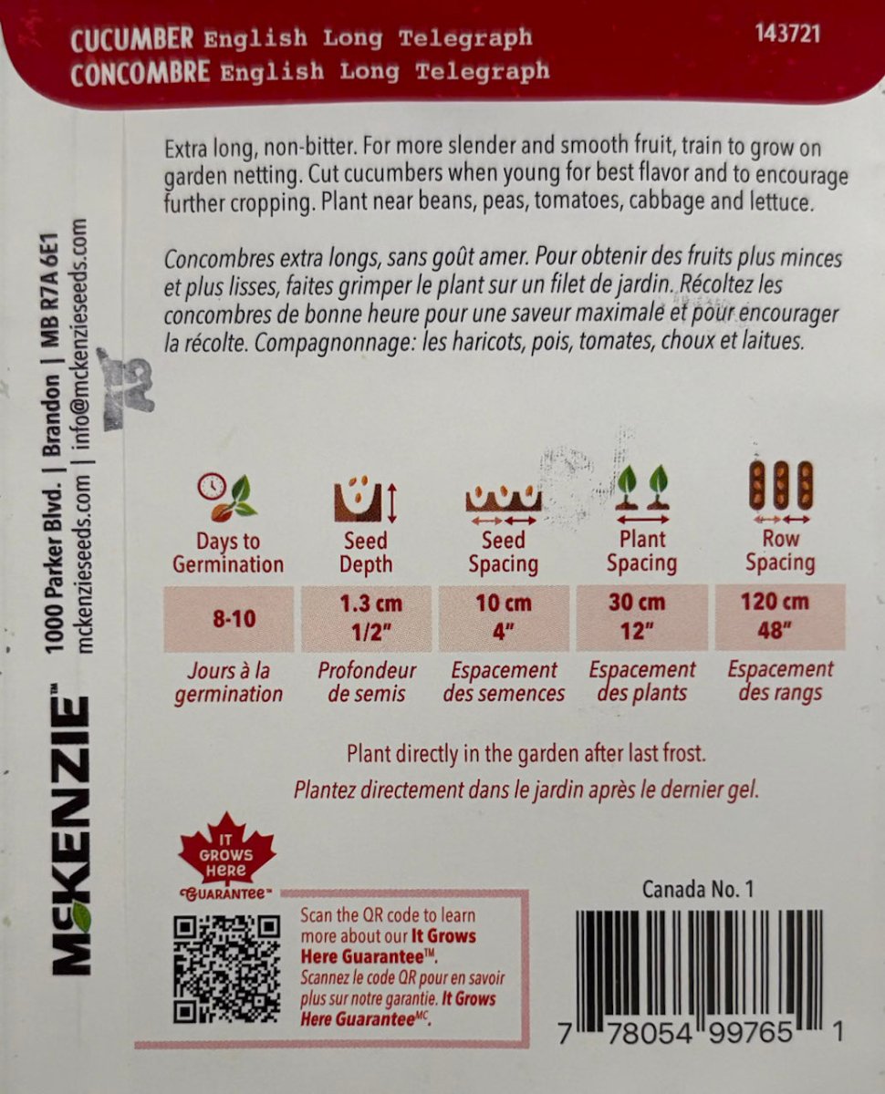 English Long Telegraph Cucumber - LandscapeDirect