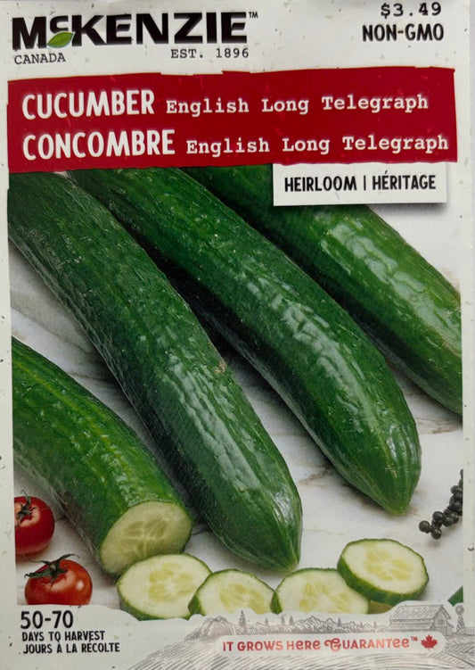 English Long Telegraph Cucumber - LandscapeDirect
