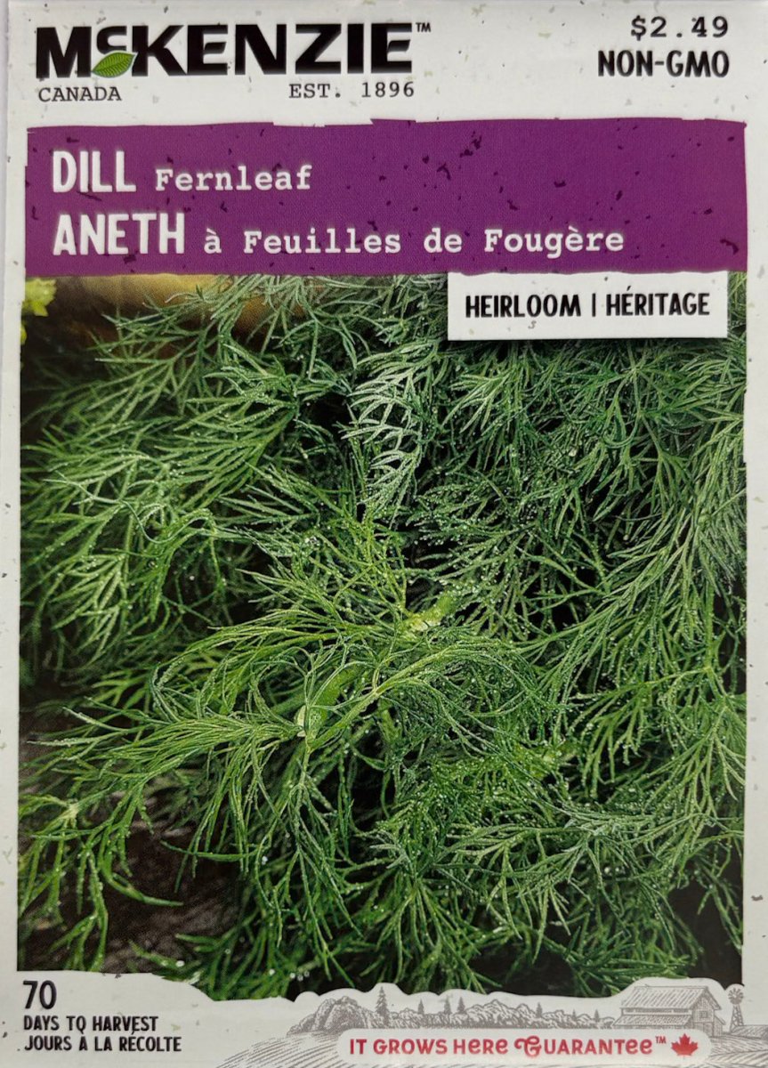 Fernleaf Dill - LandscapeDirect