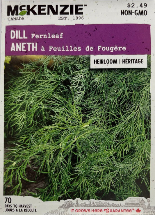 Fernleaf Dill - LandscapeDirect