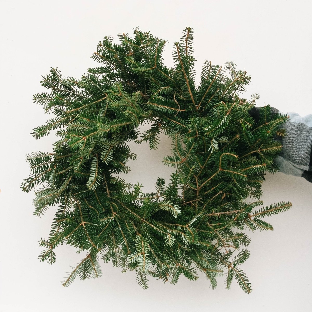 Fraser Fir Wreath - 20 Inch - LandscapeDirect