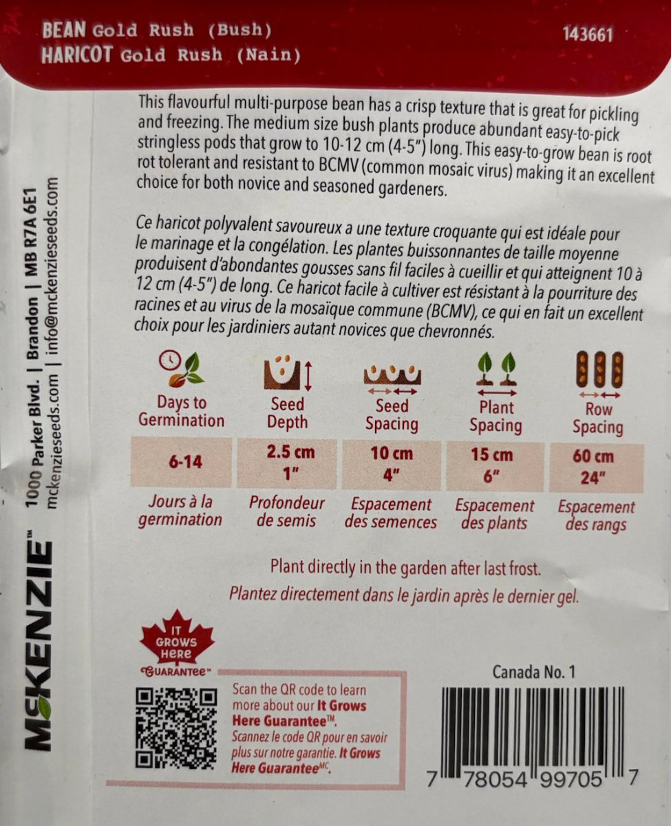 Gold Rush Bush Bean - LandscapeDirect