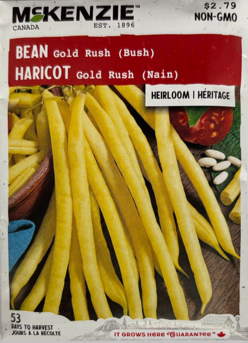 Gold Rush Bush Bean - LandscapeDirect