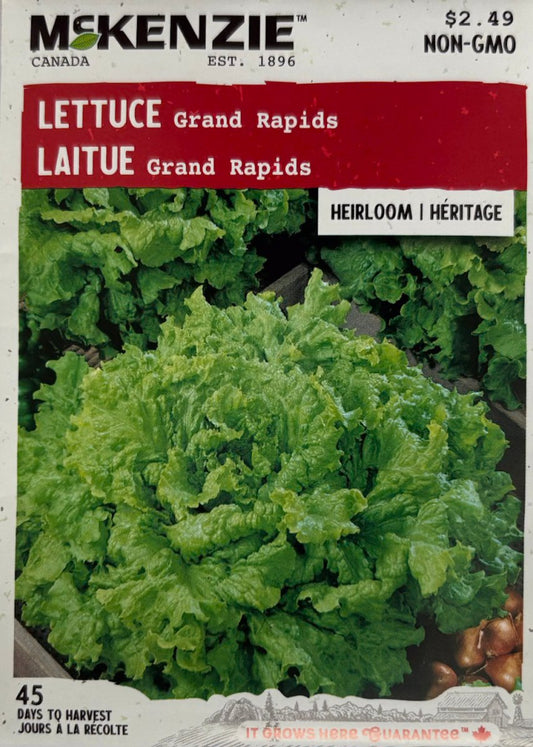 Grand Rapids Lettuce - LandscapeDirect