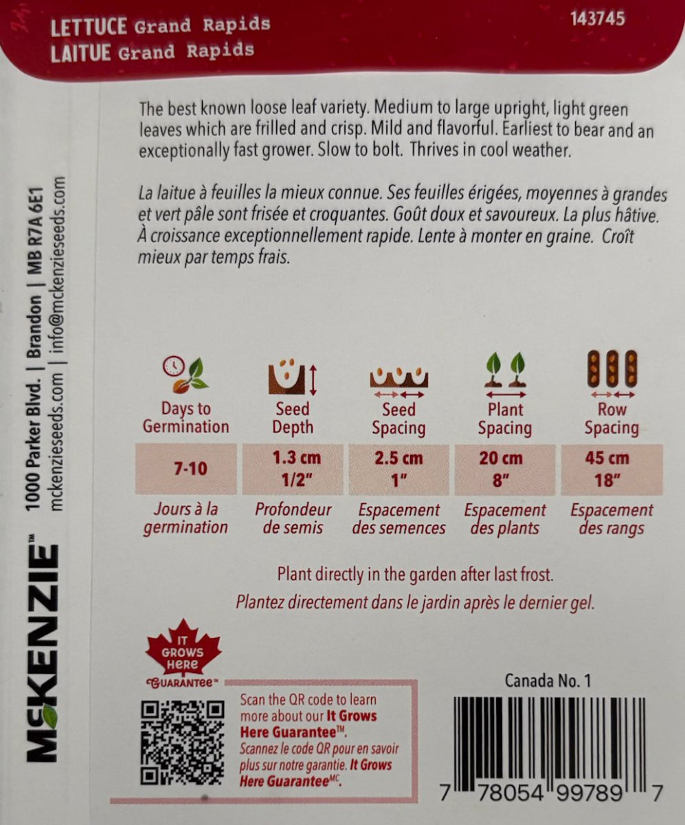Grand Rapids Lettuce - LandscapeDirect