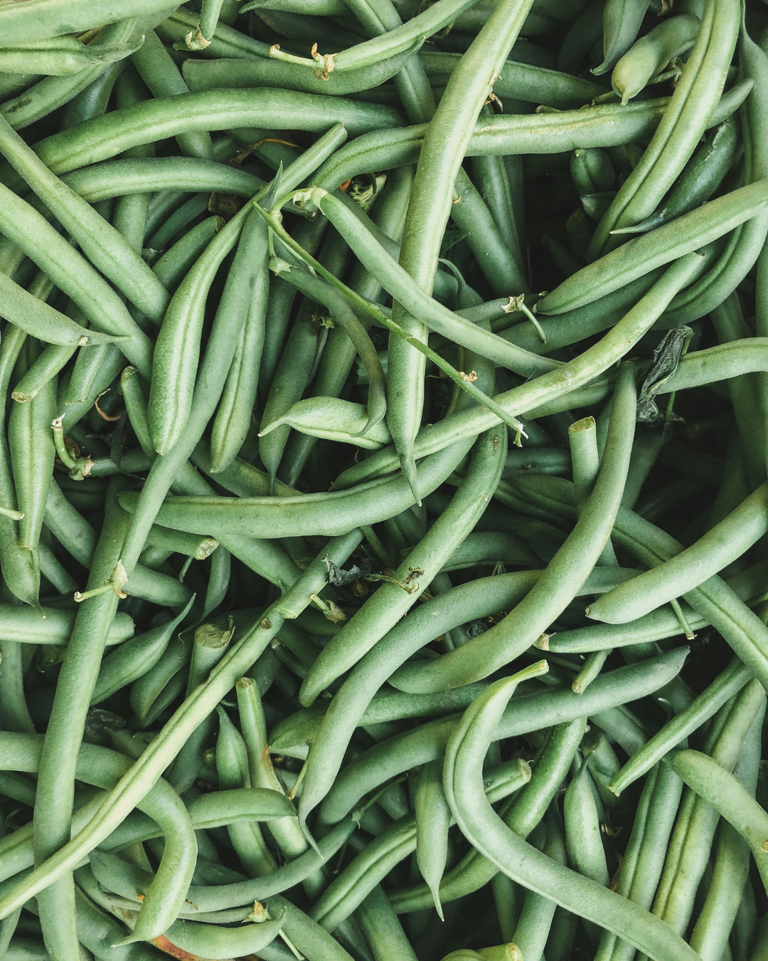 Haricot vert