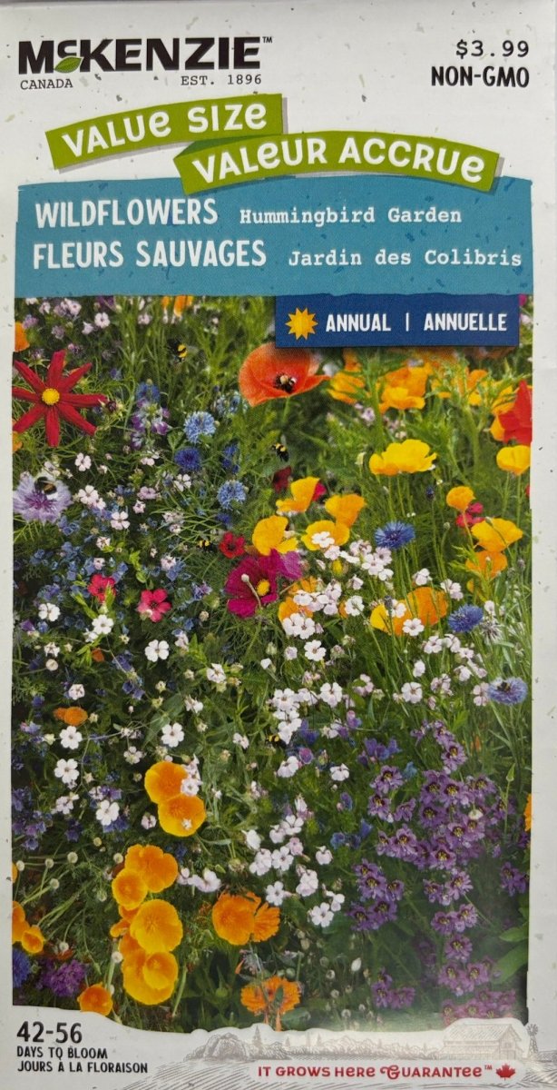 Hummingbird Garden Wildflowers - LandscapeDirect