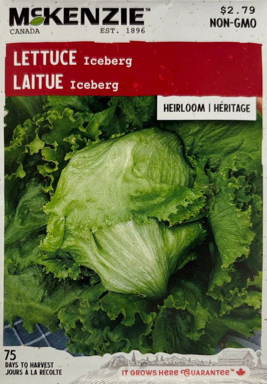 Iceberg Lettuce - LandscapeDirect
