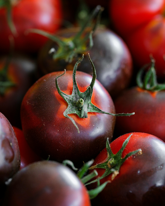 Indigo Blue Berry Tomato