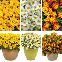 Ireland Combo - Super Pack - LandscapeDirect