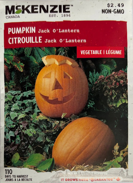 Jack O™Lantern Pumpkin - LandscapeDirect