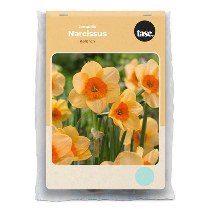 Jonquilla Kedron Daffodil - LandscapeDirect