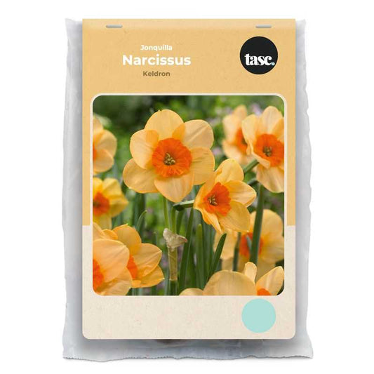 Jonquilla Kedron Daffodil - LandscapeDirect
