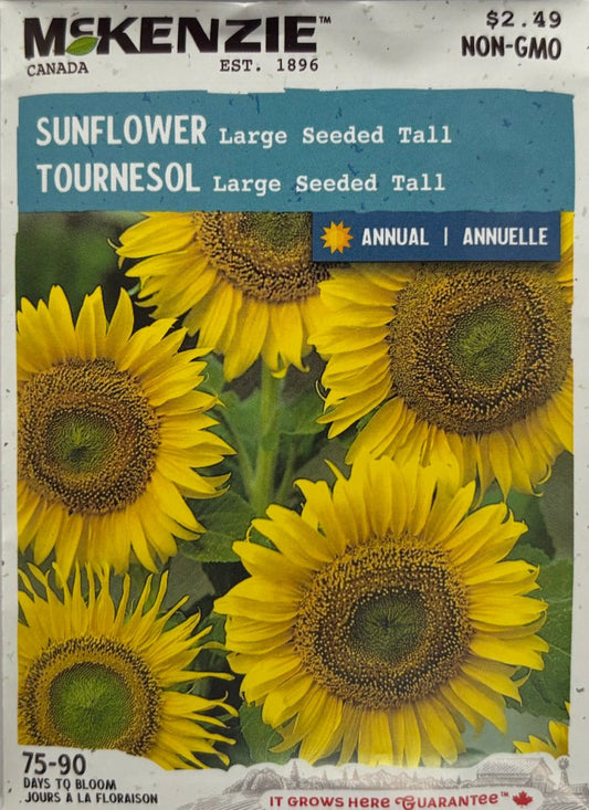 Large Seeded Tall Sunflower - LandscapeDirect