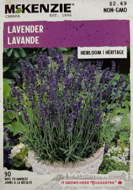 Lavender - LandscapeDirect