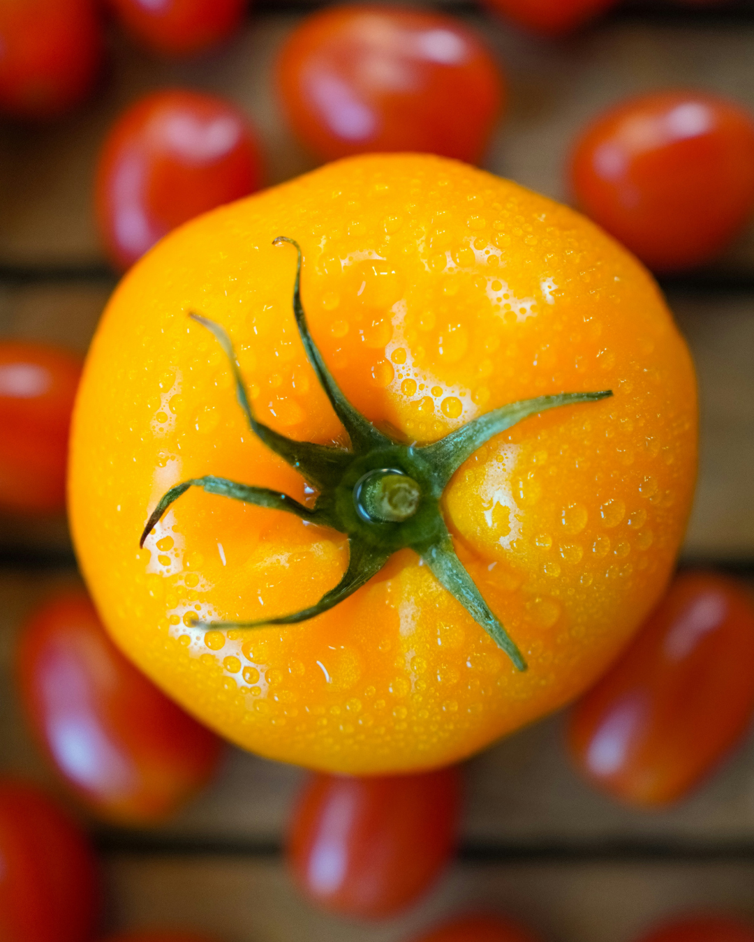 Tomate citronnée