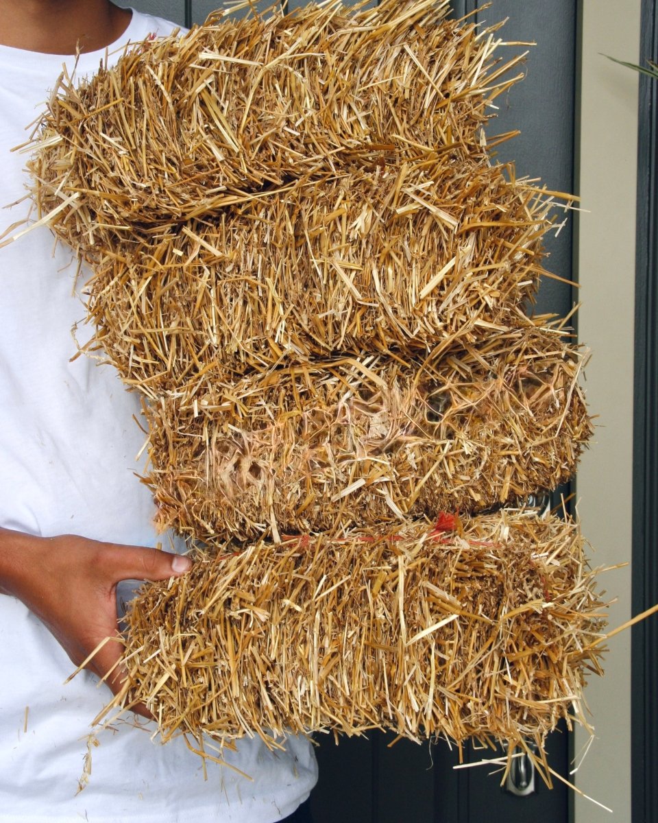 Mini Straw Bale - LandscapeDirect