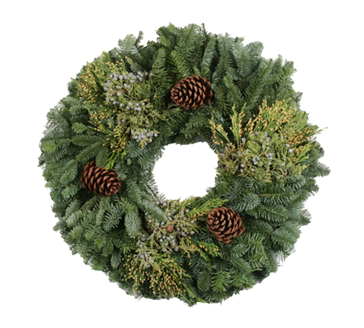 Mixed Noble Fir Wreath with Cones - 20 Inch - LandscapeDirect