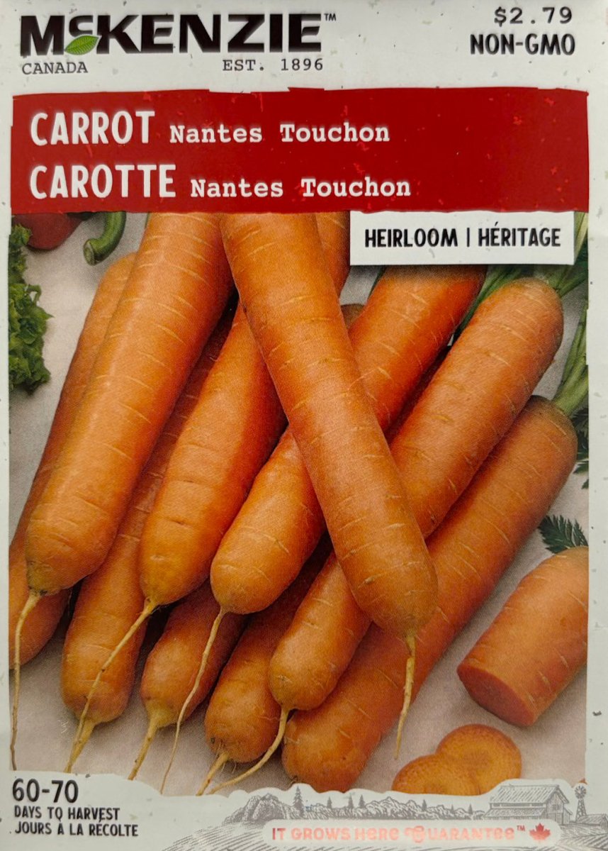 Nantes Touchon Carrot - LandscapeDirect