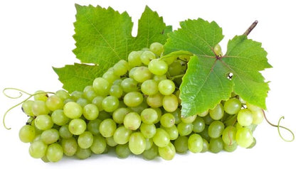 Niagara White Grape - LandscapeDirect