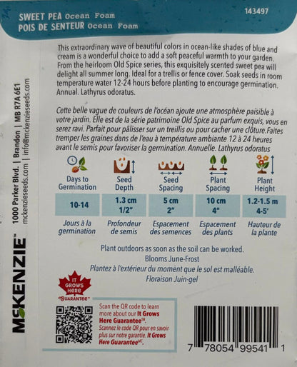 Ocean Foam Sweet Pea - LandscapeDirect